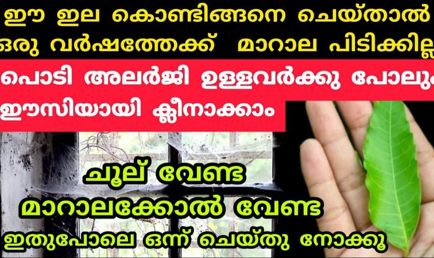 ഇങ്ങനെ ചെയ്താൽ വീടിനെ പുറത്തോ അകത്തോ ഒരു തരി മാറാല പോലും പിടിക്കില്ല.