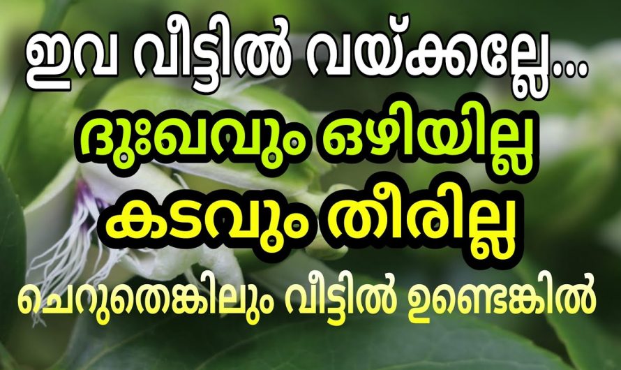 ദുഃഖ ദുരിതങ്ങൾ വീട്ടിൽ നിന്ന് ഒഴിയുന്നില്ലേ ? എങ്കിൽ ഇതാരും അറിയാതിരിക്കല്ലേ.