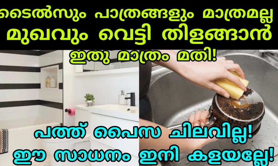 വെറുതെ കളയുന്ന ഈ ഒരു തൊലി മാത്രം മതി പാത്രങ്ങളും ടൈലുകളും പുതു പുത്തനാക്കാൻ.