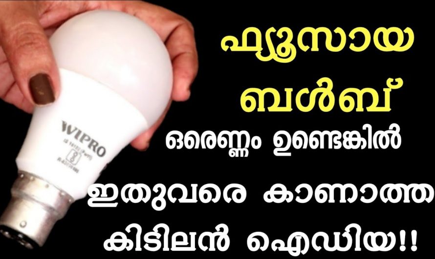 ഫ്യൂസായ ബൾബ് കയ്യിലുണ്ടോ ?  എങ്കിൽ ഇങ്ങനെ ചെയ്യൂ ഇത് ഞെട്ടിക്കും.