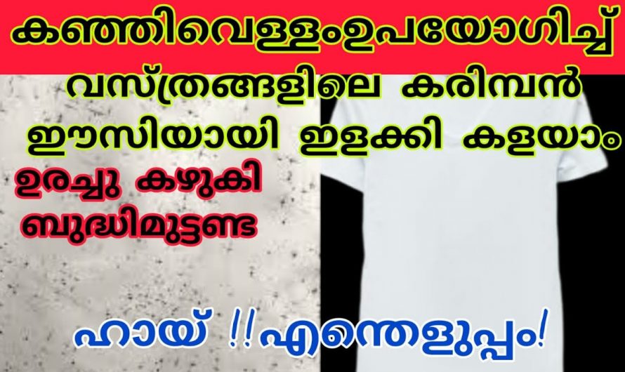 വെള്ള വസ്ത്രങ്ങളിലെ കരിമ്പൻ വിട്ടുപോരുന്നില്ലേ ? ഈ ഒരു ട്രിക്ക് ചെയ്യൂ കരിമ്പനെ ഞൊടിയിടയിൽ അകറ്റാം.