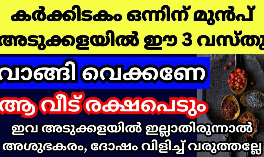 കർക്കിടകത്തിൽ വീട്ടിൽ വാങ്ങി വയ്ക്കേണ്ട ഇത്തരം വസ്തുക്കളെ കുറിച്ച് അറിയാതിരിക്കല്ലേ.