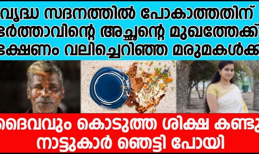 അവൾ കണ്ടത് സ്വപ്നമോ യാഥാർത്ഥ്യമോ. ഇത് നിങ്ങൾ കാണാതെ പോകരുത്.