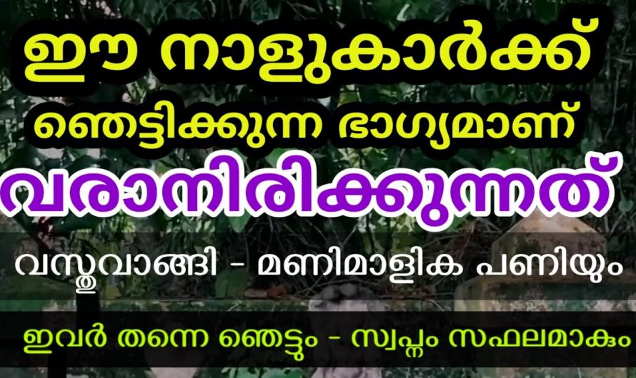 കർക്കിടകം അവസാനിക്കുന്നതോടുകൂടി ജീവിതത്തിൽ ഒത്തിരി നേട്ടങ്ങൾ സ്വന്തമാക്കുന്ന നക്ഷത്രക്കാർ.