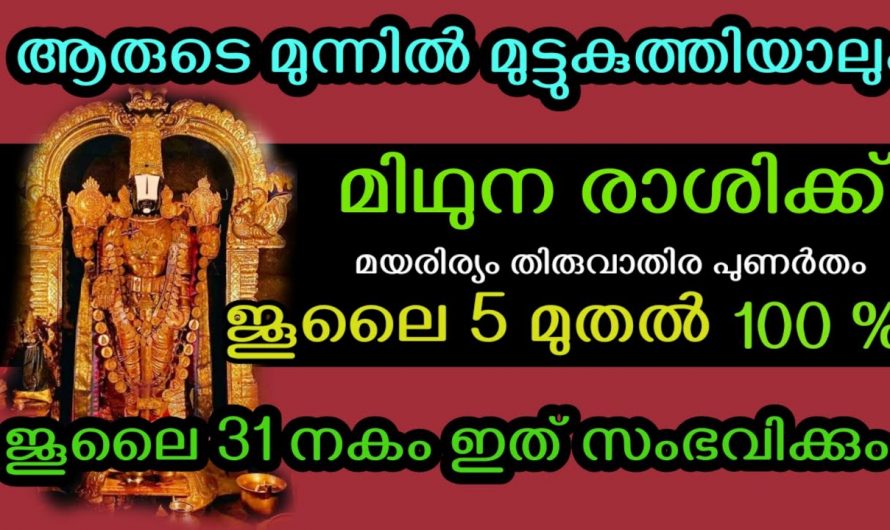 ജൂലൈ മാസത്തിലെ മിഥുനം രാശിക്കാരുടെ പൊതു ഫലം ആരും കാണാതിരിക്കല്ലേ.