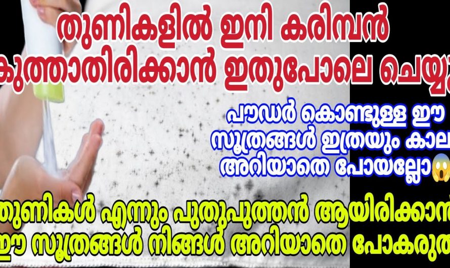 തുണികളിലെ കരിമ്പനെ നീക്കാനും തുണികൾ എന്നും പുതുപുത്തനാകാനും ഈയൊരു സൂത്രം മതി.