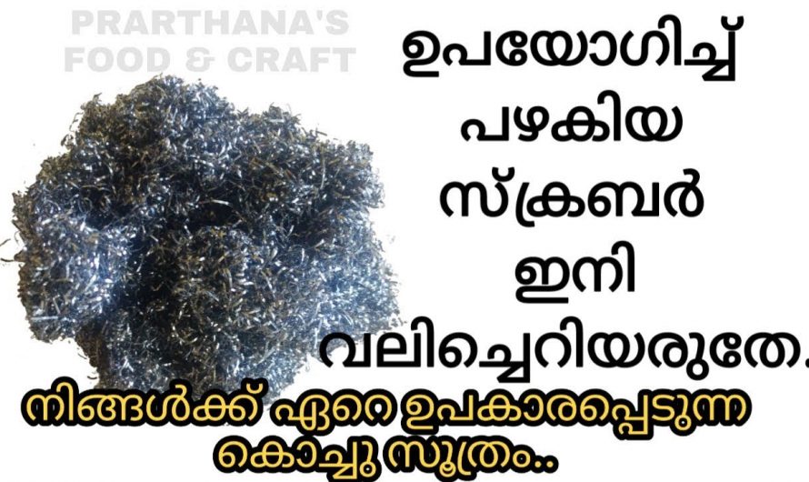 ഈയൊരു സൂത്രം അറിഞ്ഞാൽ പഴയ സ്റ്റീൽ സ്ക്രബ്ബർ ആരും കളയില്ല. കണ്ടു നോക്കൂ.