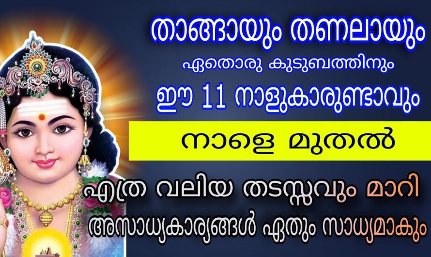 ഏഴു ദിവസത്തിനുള്ളിൽ വൻ വിജയങ്ങൾ സ്വന്തമാക്കുന്ന നക്ഷത്രക്കാർ.