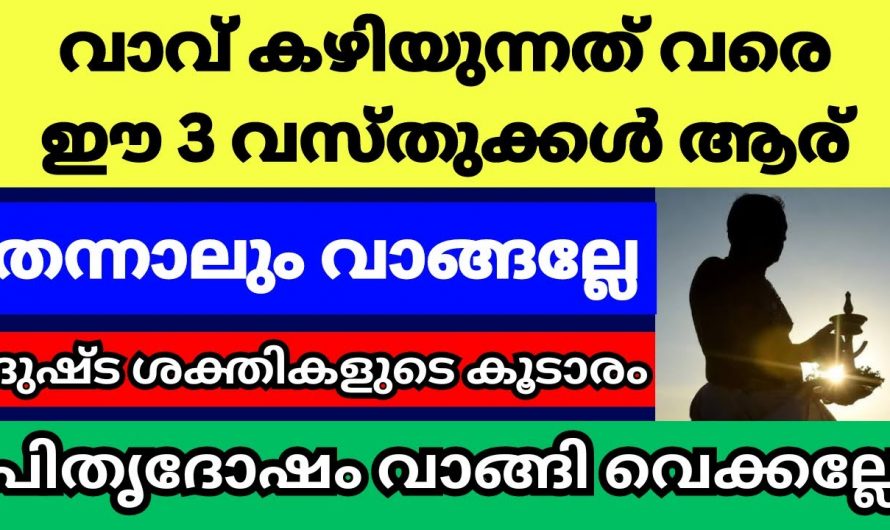 കർക്കിടക വാവിന് മുൻപ് വീടുകളിൽ ശ്രദ്ധിക്കേണ്ട ഇത്തരം കാര്യങ്ങൾ ആരും അറിയാതിരിക്കല്ലേ.