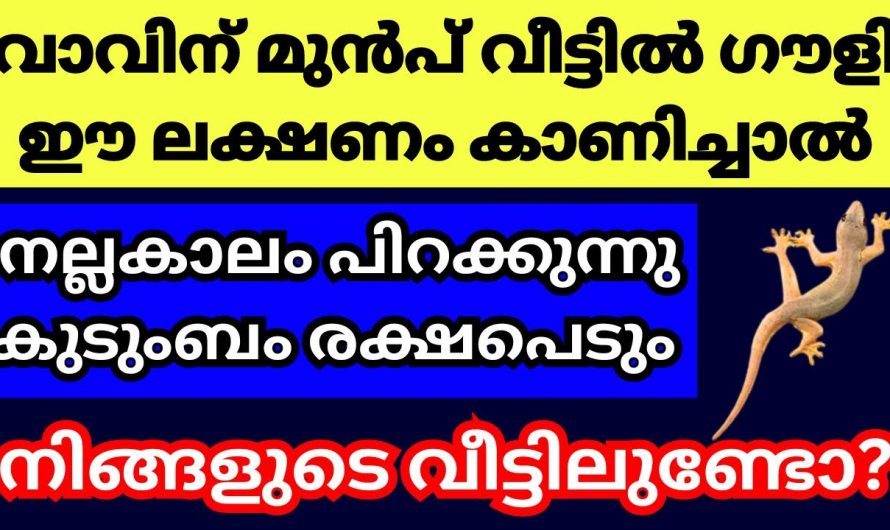 നല്ല കാലം പിറക്കുന്നതിന് മുൻപായി പല്ലികൾ കാണിച്ചു തരുന്ന ലക്ഷണങ്ങൾ.