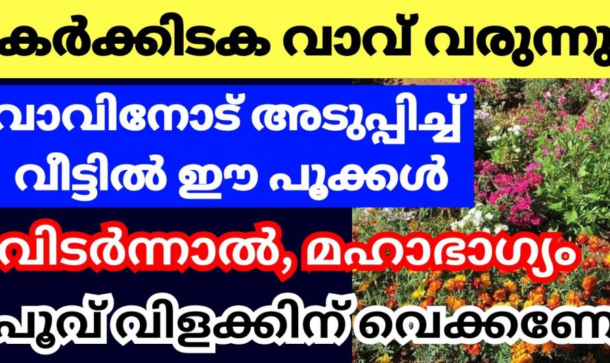 കർക്കിടകവാവ് അടുത്ത ദിവസങ്ങളിൽ മഹാഭാഗ്യം കൊണ്ട് വിടരുന്ന പൂക്കൾ ആരും കാണാതിരിക്കല്ലേ.