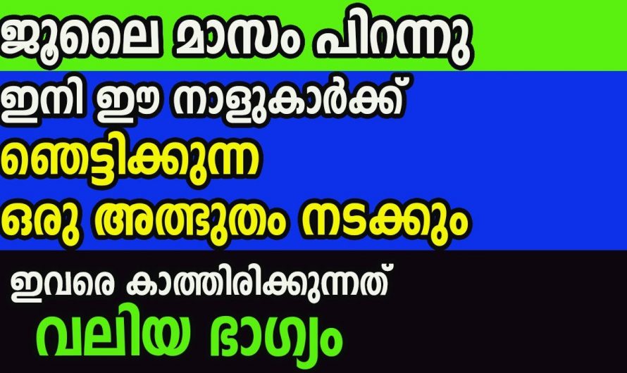 ജൂലൈ മാസത്തിൽ നിനച്ചതെല്ലാം നേടിയെടുക്കുന്ന നക്ഷത്രക്കാർ.