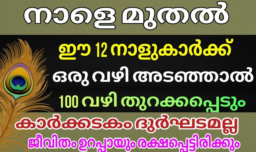 കർക്കിടകം മാസത്തിൽ ജീവിതത്തിലെ ദുർഘടങ്ങൾ അകറ്റിക്കൊണ്ട് രക്ഷപ്പെടുന്ന നക്ഷത്രക്കാർ.