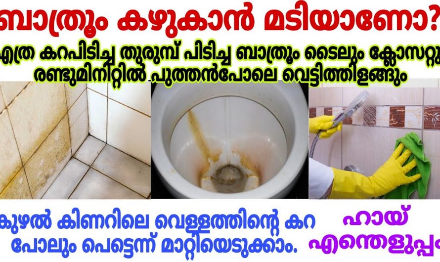 ബാത്റൂമിലെയും ക്ലോസറ്റിലെയും ഏത് കറയും നീക്കാൻ ഇനി ഈയൊരു സൊല്യൂഷൻ തന്നെ ധാരാളം.