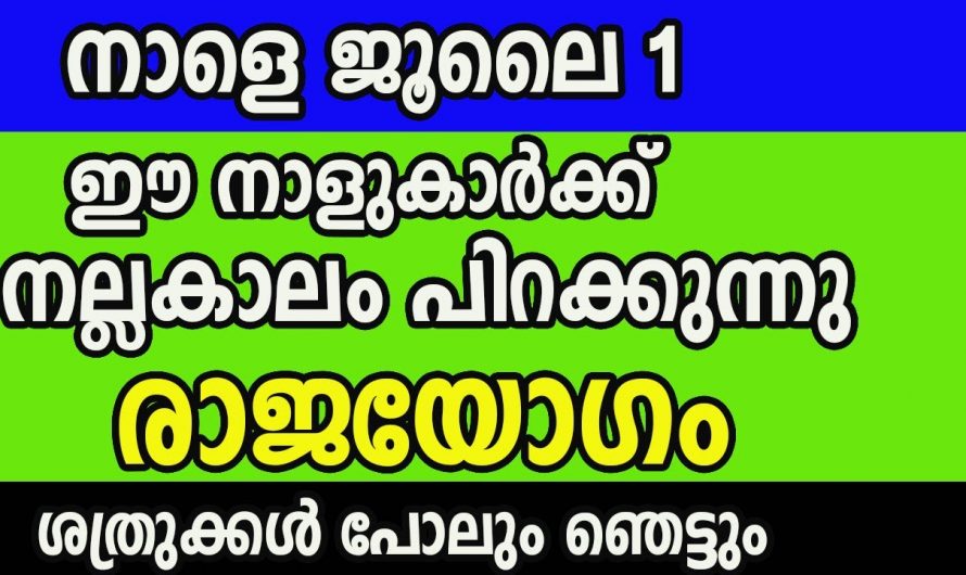 ജൂലൈ മാസത്തിൽ രാജയോഗത്താൽ ഉയർന്നു നിൽക്കുന്ന നക്ഷത്രക്കാർ.