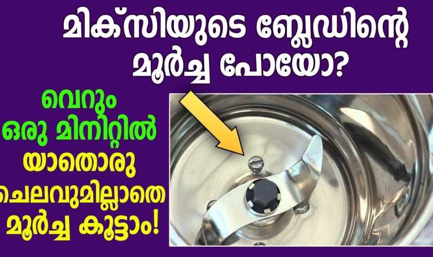 യാതൊരു ചെലവില്ലാതെ മിക്സിയുടെ ജാറിന്റെ മൂർച്ച മിനിറ്റുകൾ കൊണ്ട് കൂട്ടാം.