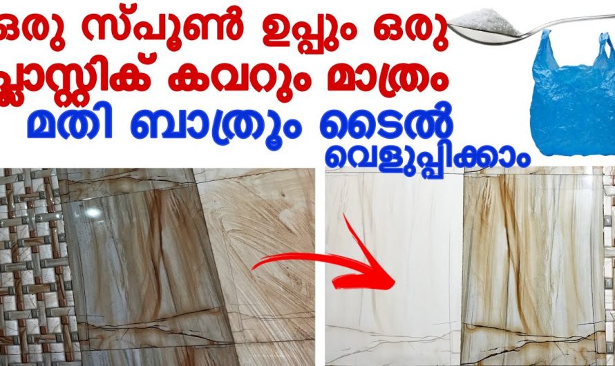 എത്ര വലിയ കടുത്ത കറയേയും അനായാസം നീക്കി ബാത്റൂം പുതുപുത്തനാക്കാൻ ഇനി എന്തെളുപ്പം.