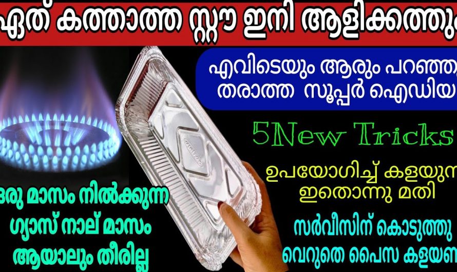 ഉപയോഗിച്ച് കളയുന്ന ഇതൊന്നു മതി ഗ്യാസ് പെട്ടെന്ന് തീരാതിരിക്കാൻ. കണ്ടു നോക്കൂ.