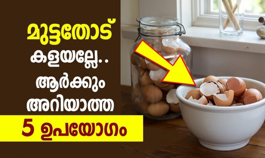 വെറുതെ കളയുന്ന ഈ ഒരു തോട് കൊണ്ട് ഇത്രയൊക്കെ ഗുണങ്ങളോ കണ്ടു നോക്കൂ.