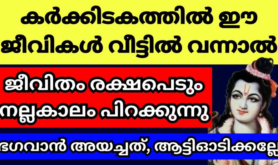 കർക്കിടക മാസത്തിൽ വീടുകളിലേക്ക് ഭാഗ്യങ്ങളുമായി കയറിവരുന്ന ജീവികൾ.