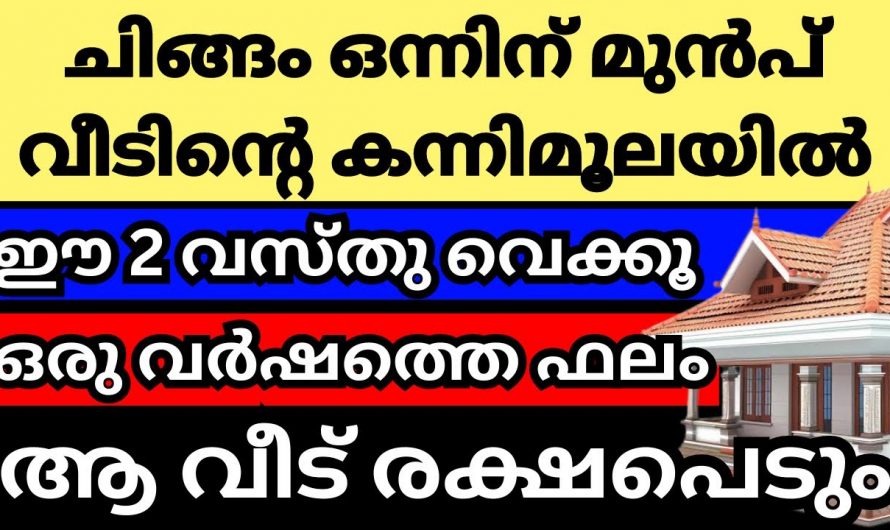 വീട്ടിൽ സൗഭാഗ്യമുണ്ടാകാൻ ചിങ്ങത്തിനു മുമ്പ് കന്നിമൂലയിൽ  ഈ ഒരു കാര്യം ചെയ്യൂ…