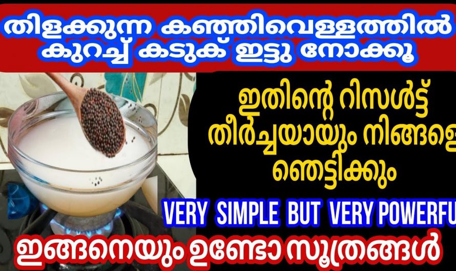 കഞ്ഞിവെള്ളം പാഴാക്കാതെ ഇങ്ങനെയൊന്നു ഉപയോഗിച്ച് നോക്കു ഞെട്ടിക്കും റിസൽട്ട് ..