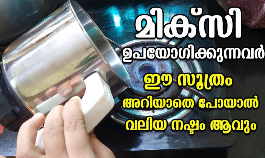 മിക്സി ഉപയോഗിച്ച് കഴിഞ്ഞാൽ ഈ ഒരു കാര്യം ചെയ്താൽ ദീർഘനാൾ  കേടുവരാതെ സൂക്ഷിക്കാം..