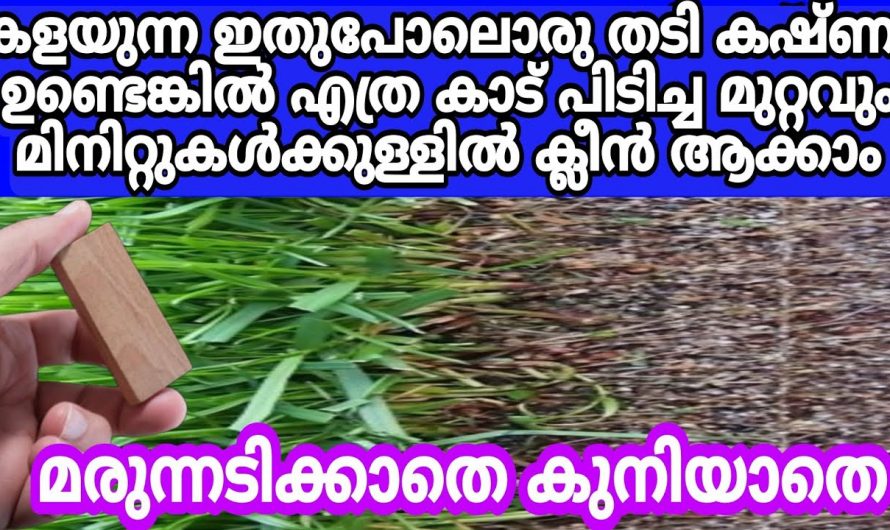 കെമിക്കൽ അടങ്ങിയ മരുന്നടിക്കാതെ പുല്ല്  എളുപ്പത്തിൽ നീക്കം ചെയ്യാൻ കിടിലൻ വഴി.