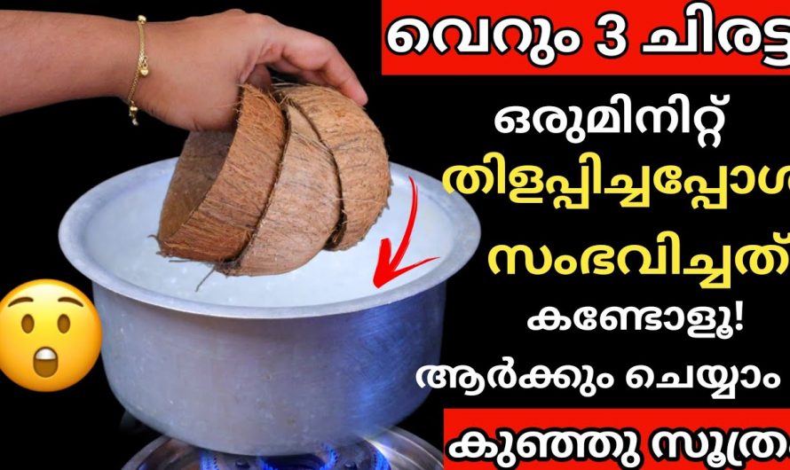 വീട്ടിലെ ചിരട്ട ഇനി കത്തിക്കേണ്ട ഇതൊന്നു ചെയ്തു നോക്കൂ ഞെട്ടിക്കും റിസൾട്ട്…