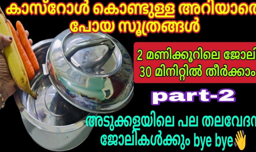 വീട്ടിൽ കാസ്ട്രോൾ ഉണ്ടെങ്കിൽ സമയവും ഗ്യാസ്  ലാഭിക്കാം…