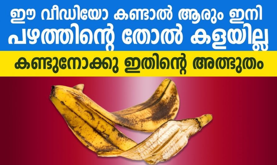 നേന്ത്രപ്പഴത്തിന്റെ തൊലി കളയുന്നവർ ഇതു ഒന്നു അറിഞ്ഞിരിക്കണം…