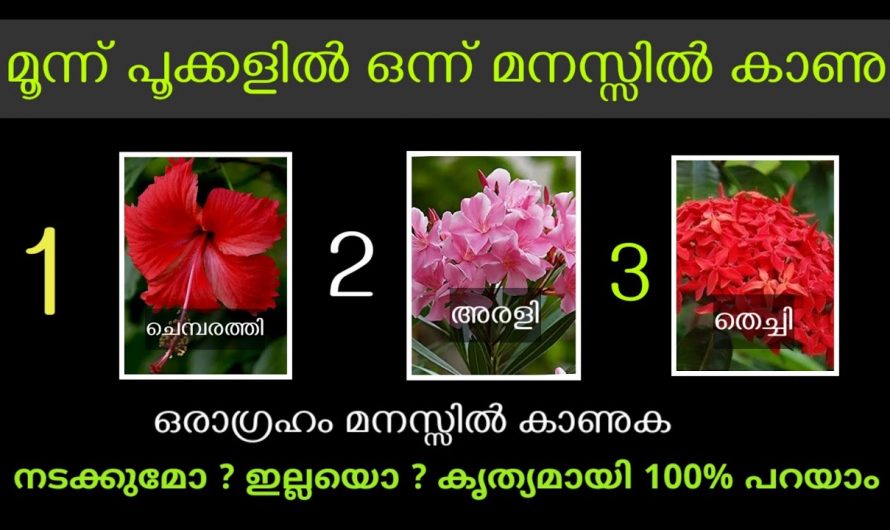 ഈയൊരു   കാര്യം ചെയ്ത നോക്കിയാൽ നിങ്ങളുടെ മനസ്സിലുള്ള കാര്യം നടക്കുമോ ഇല്ലയോ എന്ന് മനസ്സിലാക്കാം…