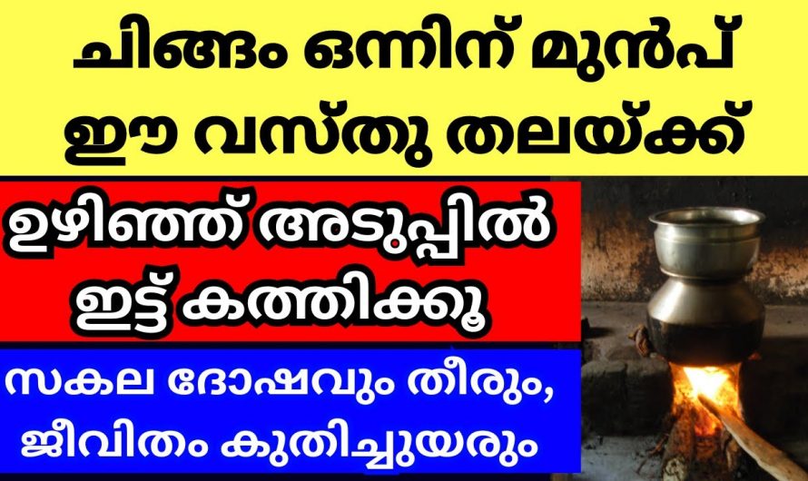 ചിങ്ങം ഒന്നിനു  മുൻപ് ഈ ഒരു കാര്യം ചെയ്യൂ വീട്ടിൽ ഐശ്വര്യം നിറയും..