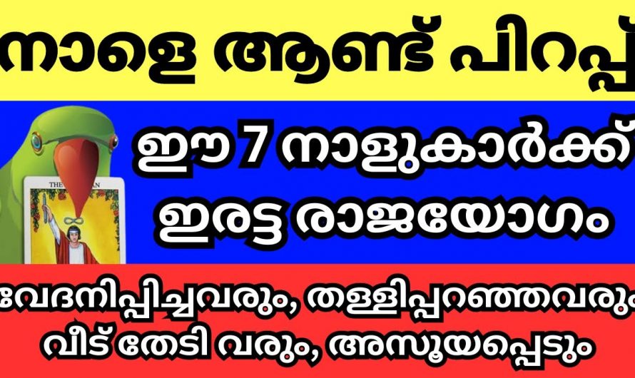 ചിങ്ങം ഒന്നു മുതൽ കുതിച്ചുയരുന്ന 7 നാളുകാർ..