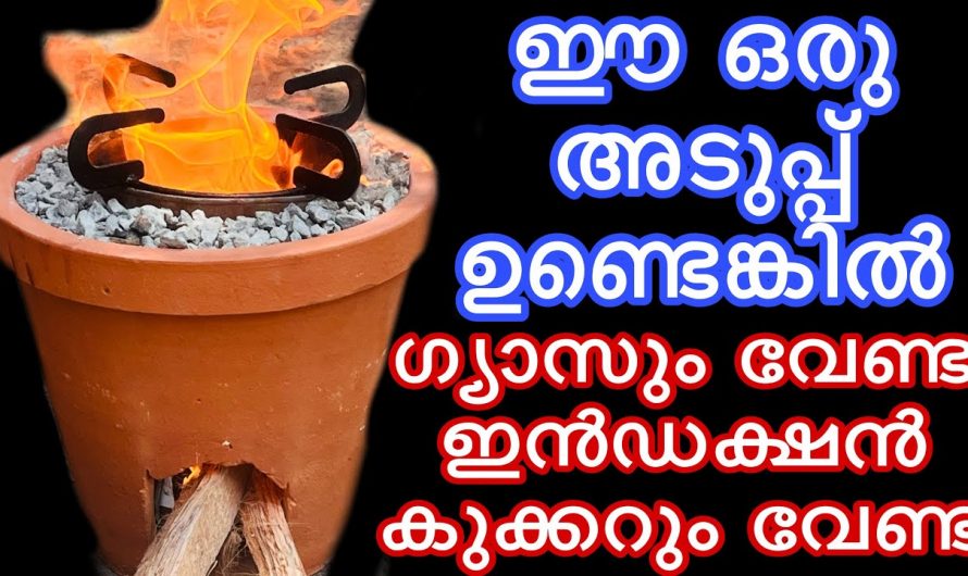 ഗ്യാസും വിറകും ലഭിക്കാൻ ഈയൊരു അടുപ്പ് തയ്യാറാക്കിയാൽ മതി…