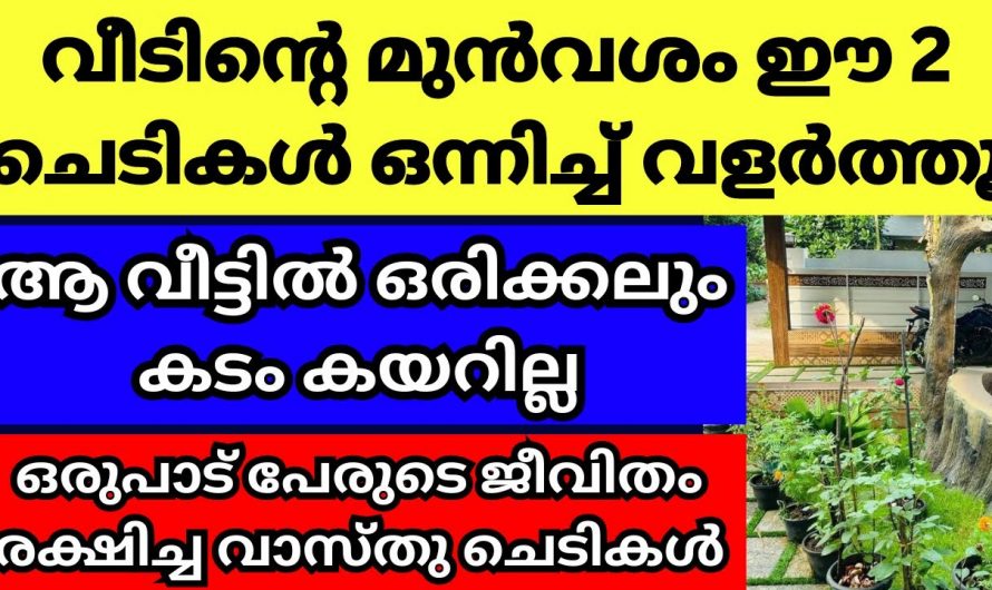 ഈ ചെടികൾ വീടിനു മുൻവശത്ത് നട്ടു പരിപാലിച്ചാൽ വീടിന് സമ്പത്തും ഐശ്വര്യം വർദ്ധിക്കും.