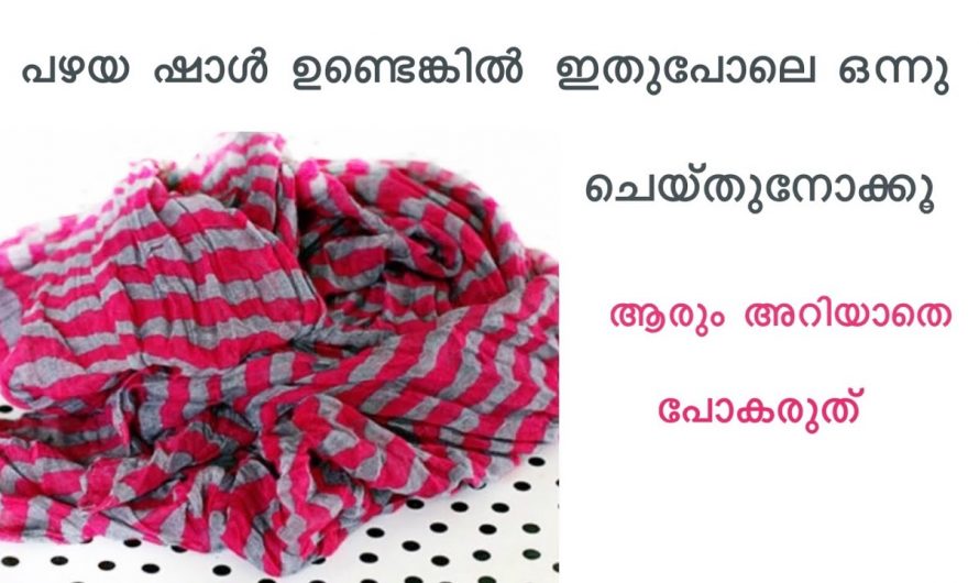 പഴയ ഷാൾ ഉണ്ട് എങ്കിൽ ഇതൊന്നു ചെയ്തു നോക്കൂ ഞെട്ടിക്കും റിസൾട്ട്..