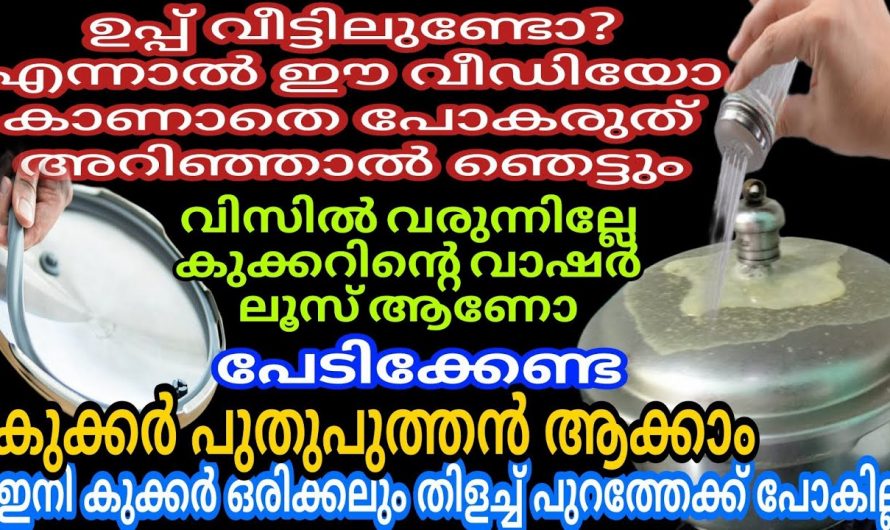 കുക്കർ കേടുകൂടാതെ ദീർഘകാലം ഉപയോഗിക്കാൻ കിടിലൻ വഴി…