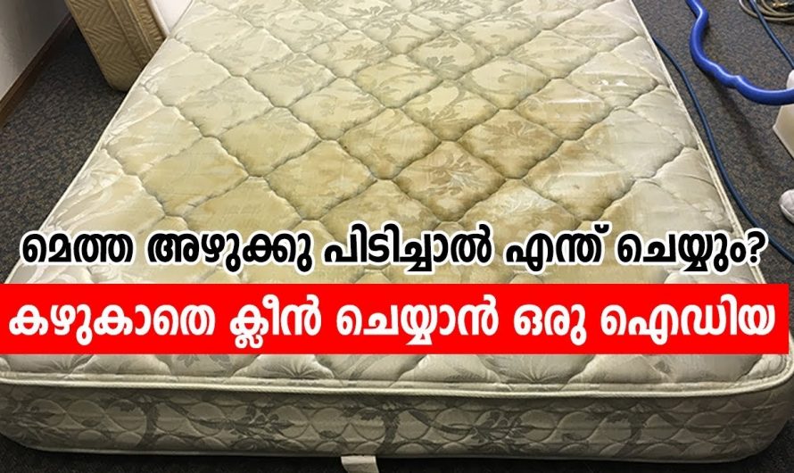 നമ്മുടെ വീട്ടിലെ മെത്ത അഥവാ കിടക്ക ഇങ്ങനെയൊന്ന് ക്ലീൻ ചെയ്തു നോക്കൂ ഞെട്ടിക്കും മാറ്റം..