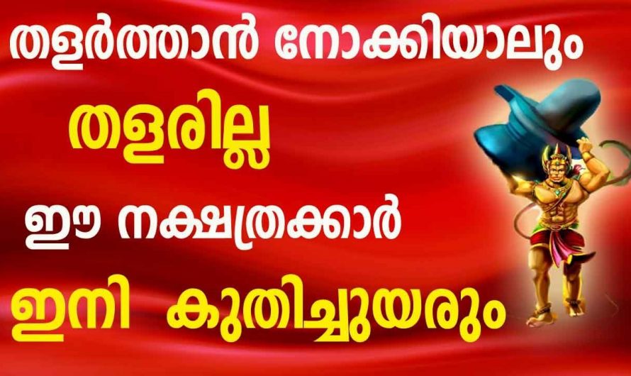 എത്ര തളർത്തിയാലും ഈ നക്ഷത്രക്കാർ ഒരിക്കലും തളരില്ല..