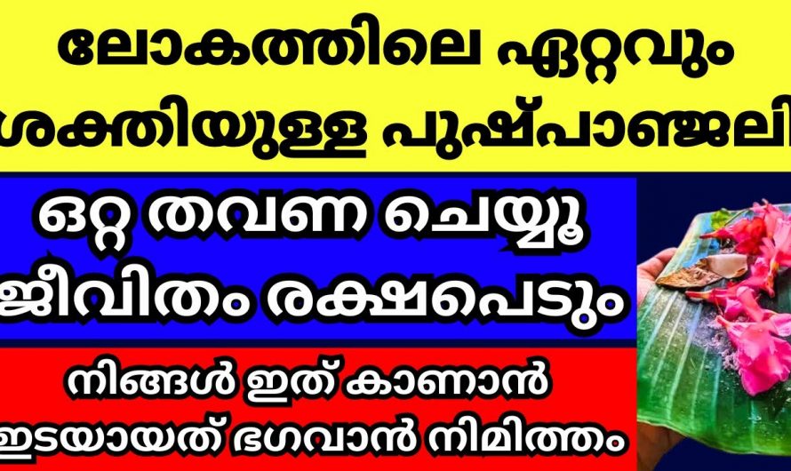 ഈ വഴിപാട് നിങ്ങളുടെ ജീവിതത്തിൽ തീർച്ചയായും നല്ല മാറ്റങ്ങൾ കൊണ്ടുവരും…