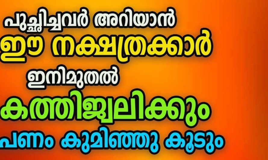 7 നാളുകാർക്ക്  നേട്ടങ്ങളുടെ കാലഘട്ടം ഒരിക്കലും ഇനി ഇവർ പരാജയപ്പെടില്ല.