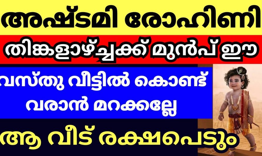 അഷ്ടമി രോഹിണിക്ക് മുൻപ്  ഈയൊരു കാര്യം ചെയ്താൽ വീട്ടിൽ ഐശ്വര്യം നിറയും..