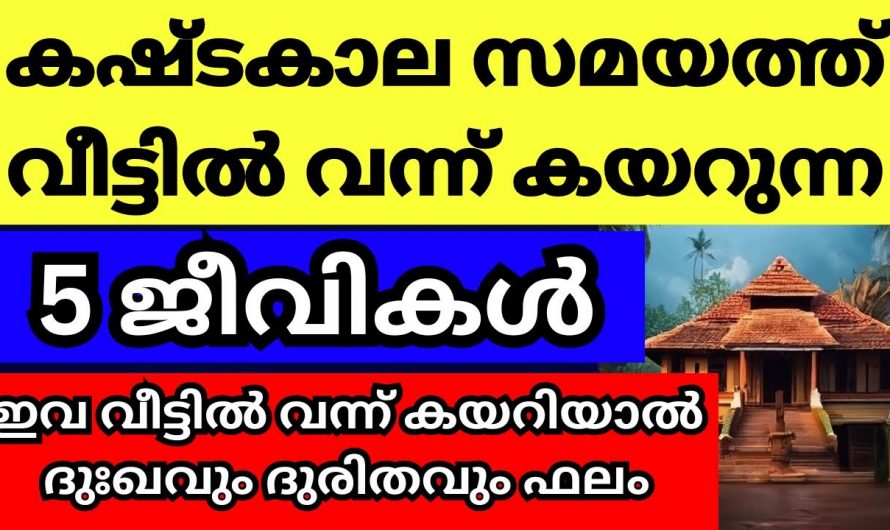 ഇത്തരം ജീവികൾ നമ്മുടെ വീട്ടിൽ കണ്ടാൽ അത് നമ്മുടെ കഷ്ടകാലത്തിന് തുടക്കമാണ്…