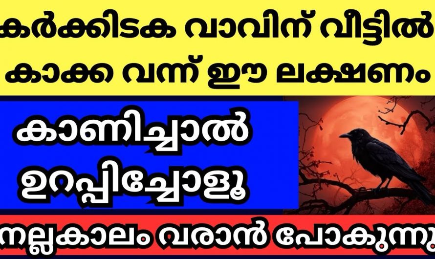 കർക്കിടകവാവിനെ വീട്ടിൽ കാക്ക വന്നാൽ ചെയ്യേണ്ടത്…