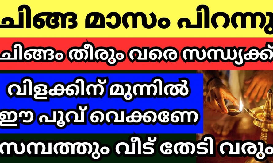 ചിങ്ങം ഒന്നു മുതൽ നിലവിളക്ക് കത്തിക്കുമ്പോൾ ഈയൊരു കാര്യം ചെയ്തു നോക്കു, സമ്പത്ത് നിങ്ങളെ തേടിവരും.