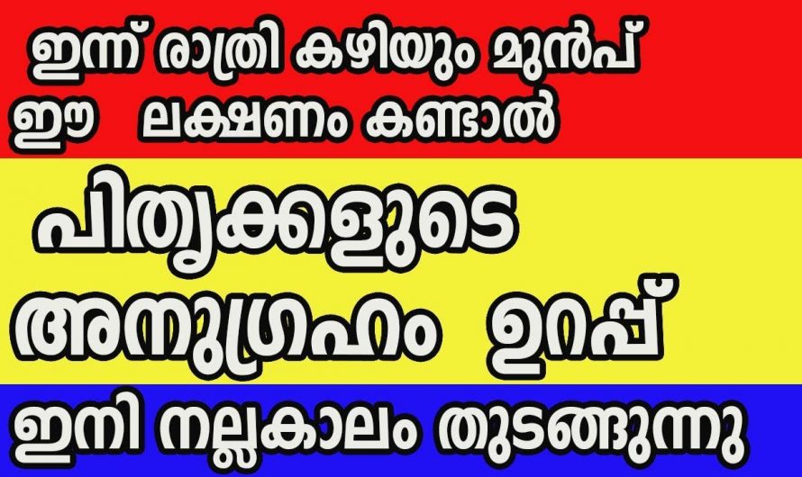 കർക്കിടക വാവ് ദിവസം ഇത്തരംകാര്യങ്ങൾ ജീവിതത്തിൽ നടന്നാൽ സംഭവിക്കുന്നത്…