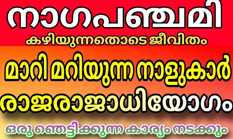 നാഗ പഞ്ചമി ദിവസം കഴിഞ്ഞാൽ രക്ഷപ്പെടുന്ന നക്ഷത്രക്കാർ…