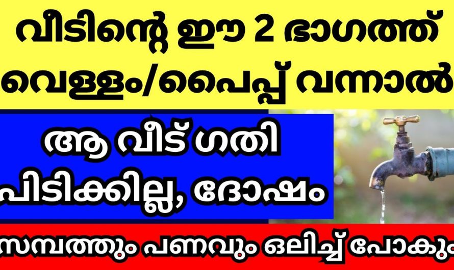 നിങ്ങളുടെ വീടുകളിൽ ജലത്തിന്റെ സാന്നിധ്യം പ്രത്യേകം ശ്രദ്ധിക്കണം..