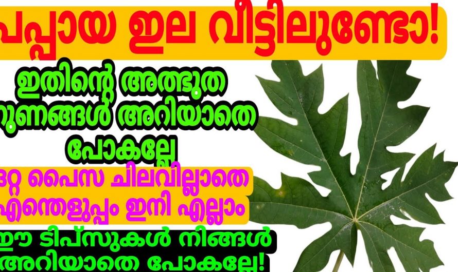 ഒട്ടും പണച്ചെലവും പാർശ്വഫലങ്ങളും ഇല്ലാതെ ഇത്തരം പ്രശ്നങ്ങൾക്ക് എളുപ്പത്തിൽ പരിഹാരം..